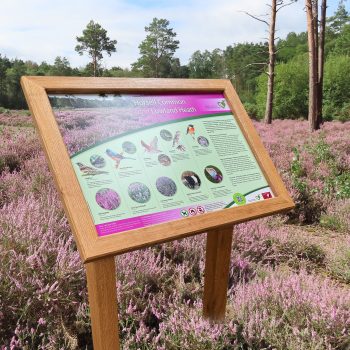 A1 Oak lectern Horsell Common