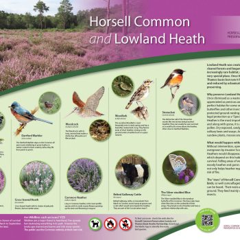 Horsell Common Conservation panel