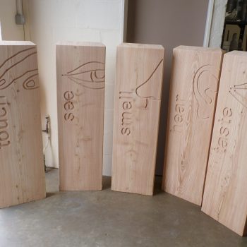 Softwood sensory monoliths